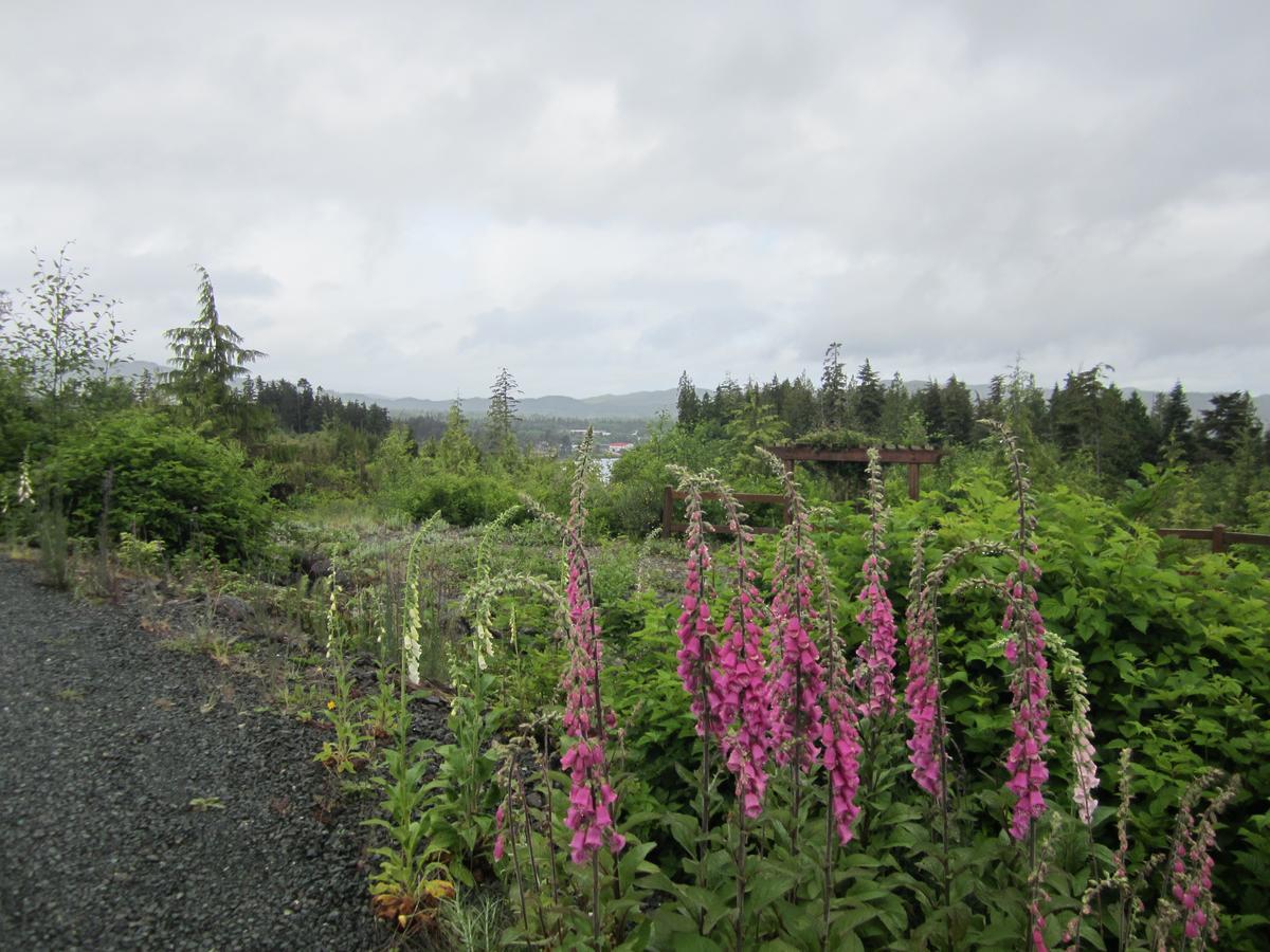 Ecoscape Cabins Hotel Port Hardy Eksteriør billede